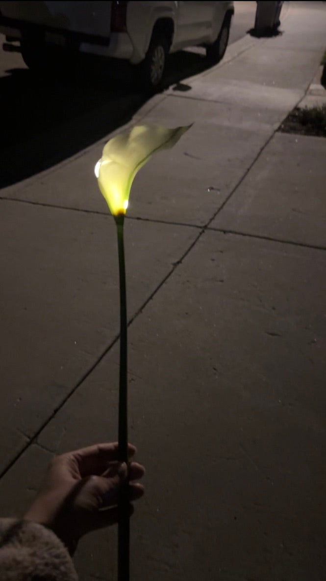Light-Up Calla Lily - Set of 10