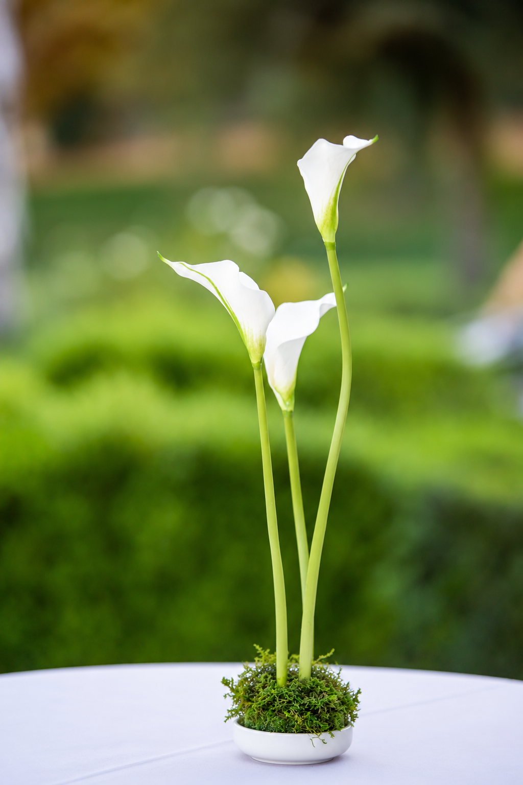 Calla Lily Arrangement