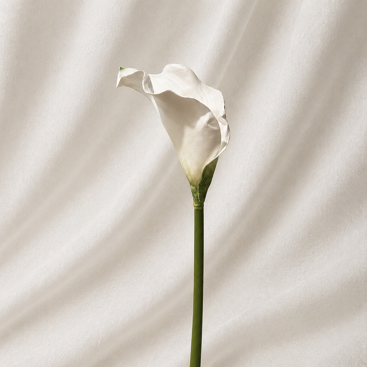 Light-Up Calla Lily - Set of 10