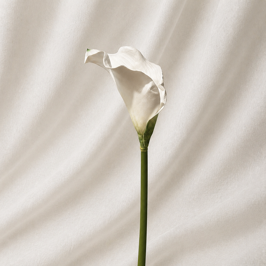 Light-Up Calla Lily - Set of 10