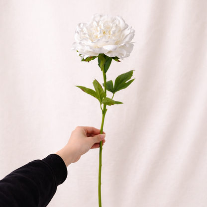 White Peony - Real Touch