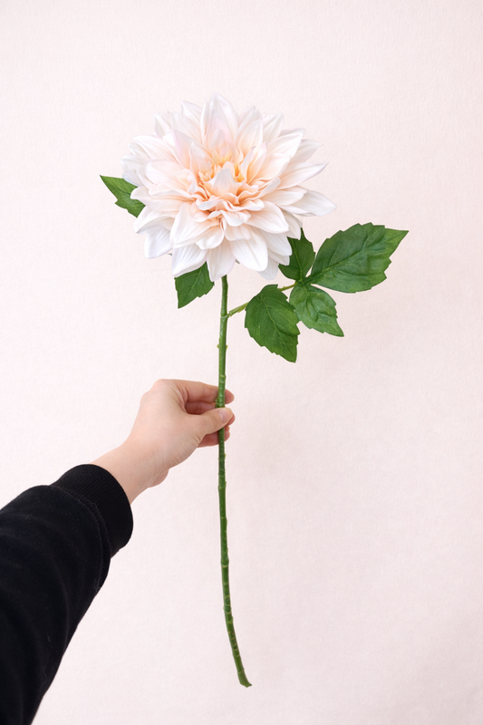 Pink Dahlia- Real Touch