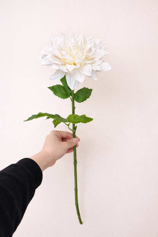 White Dahlia- Real Touch