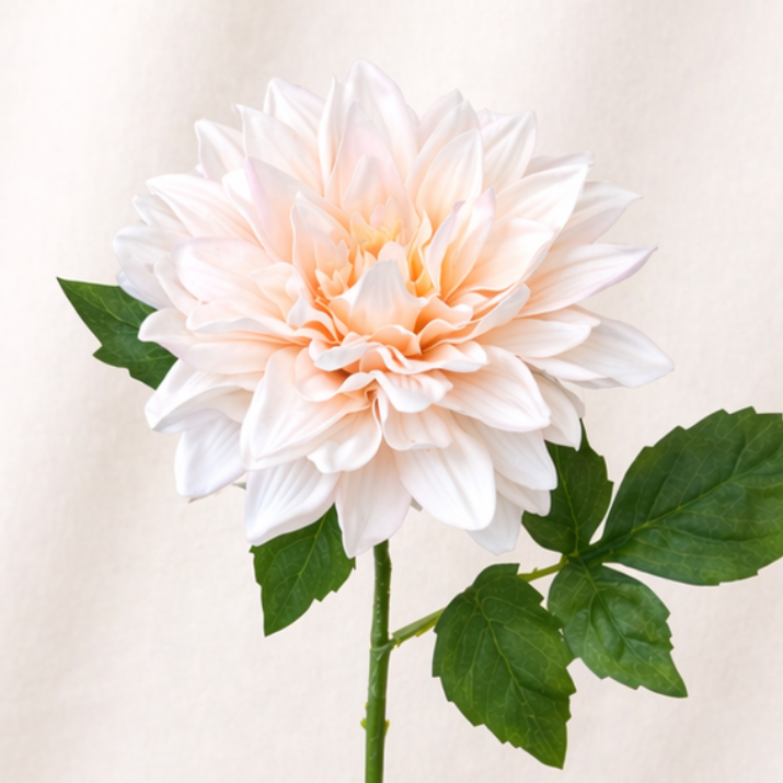 Pink Dahlia - Real Touch