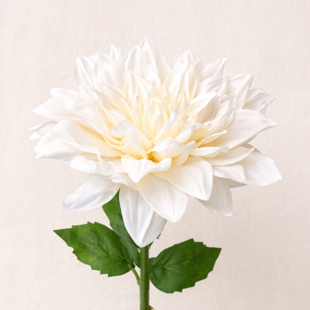 White Dahlia - Real Touch