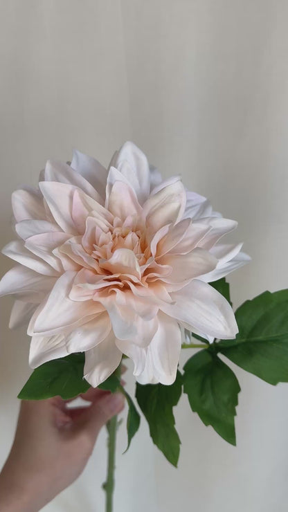 Petite Pink Dahlia Bouquet