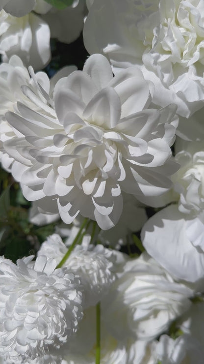 Sylvi's Arch- Rental Only Item