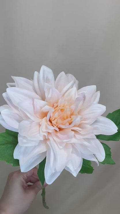 Pink Dahlia - Real Touch