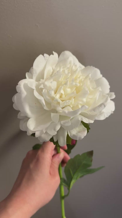 White Peony - Real Touch